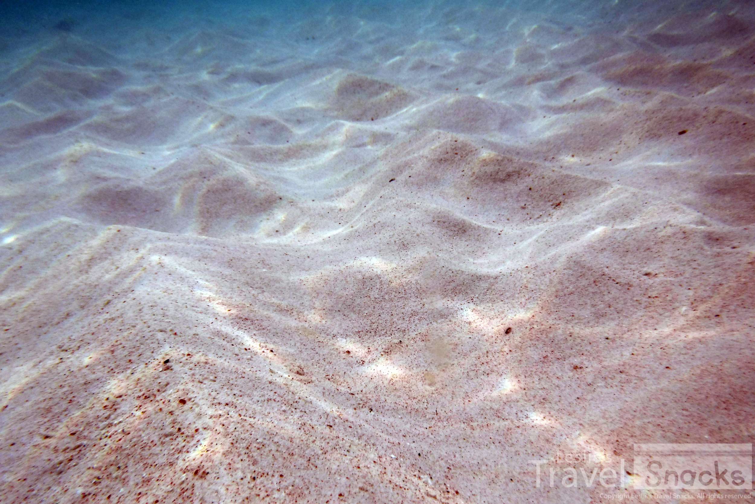 The small pieces of red coral in the sand are what make it pink.