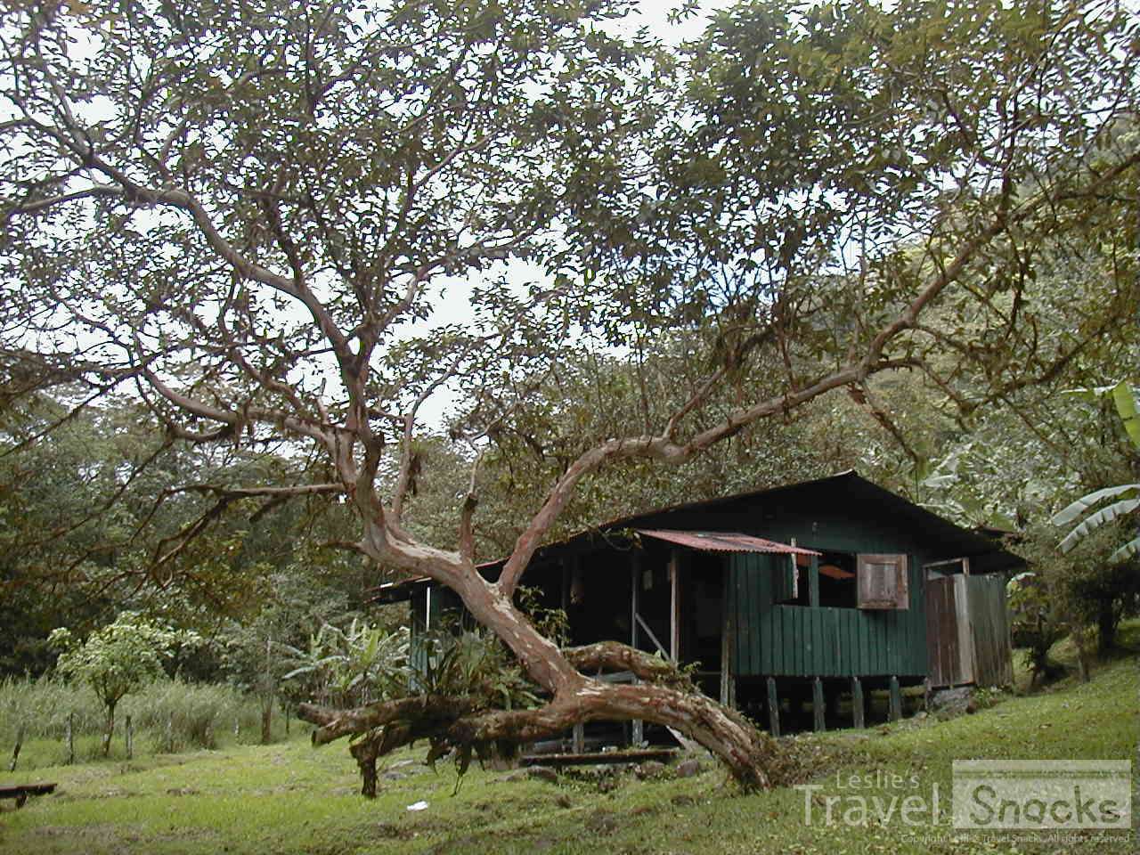 The Aleman Ranger Station inside Monte Verde Cloud Forest. We hiked in and stayed the night here.