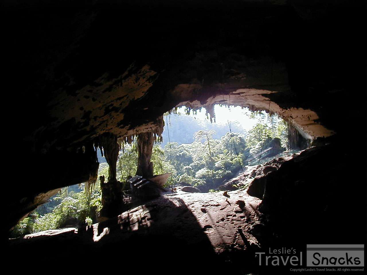 Giant Miri Cave. The long poles are to climb up to get the bird nests for bird nest soup!