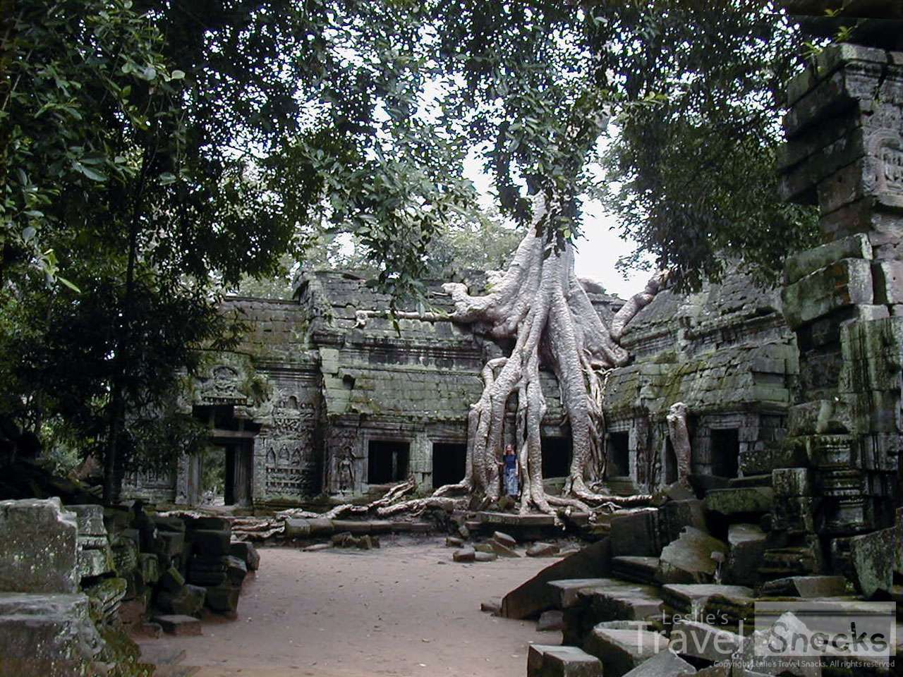 My favorite overgrown temple at Angkor Wat.