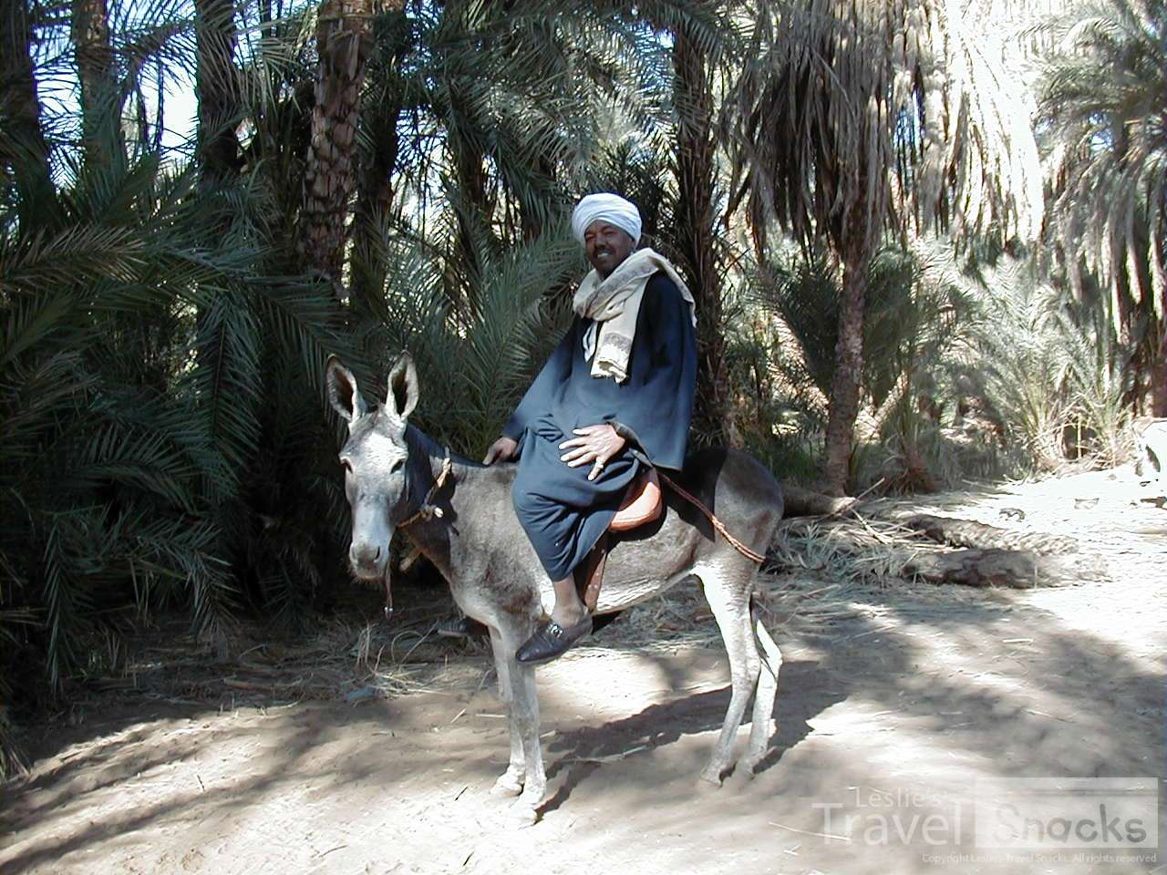 At one of our felucca stops, i wandered around and met  this guy. He let me try to ride his donkey, gave me a bowl of fresh dates, and asked me to marry him. LOL