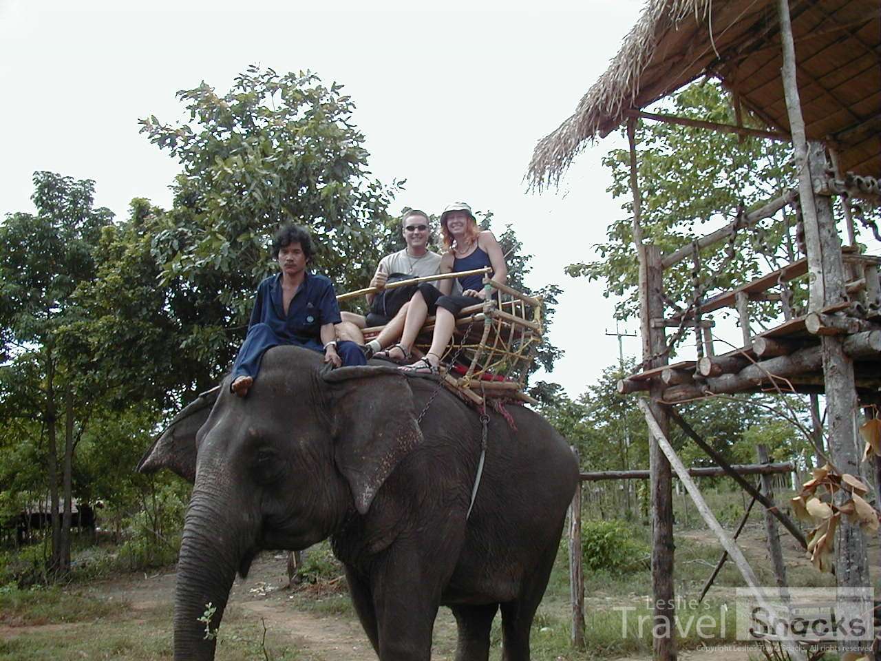 I was rather ignorant then and yes, I rode an elephant. I don't condone this now. There are very few places that treat elephants properly.
