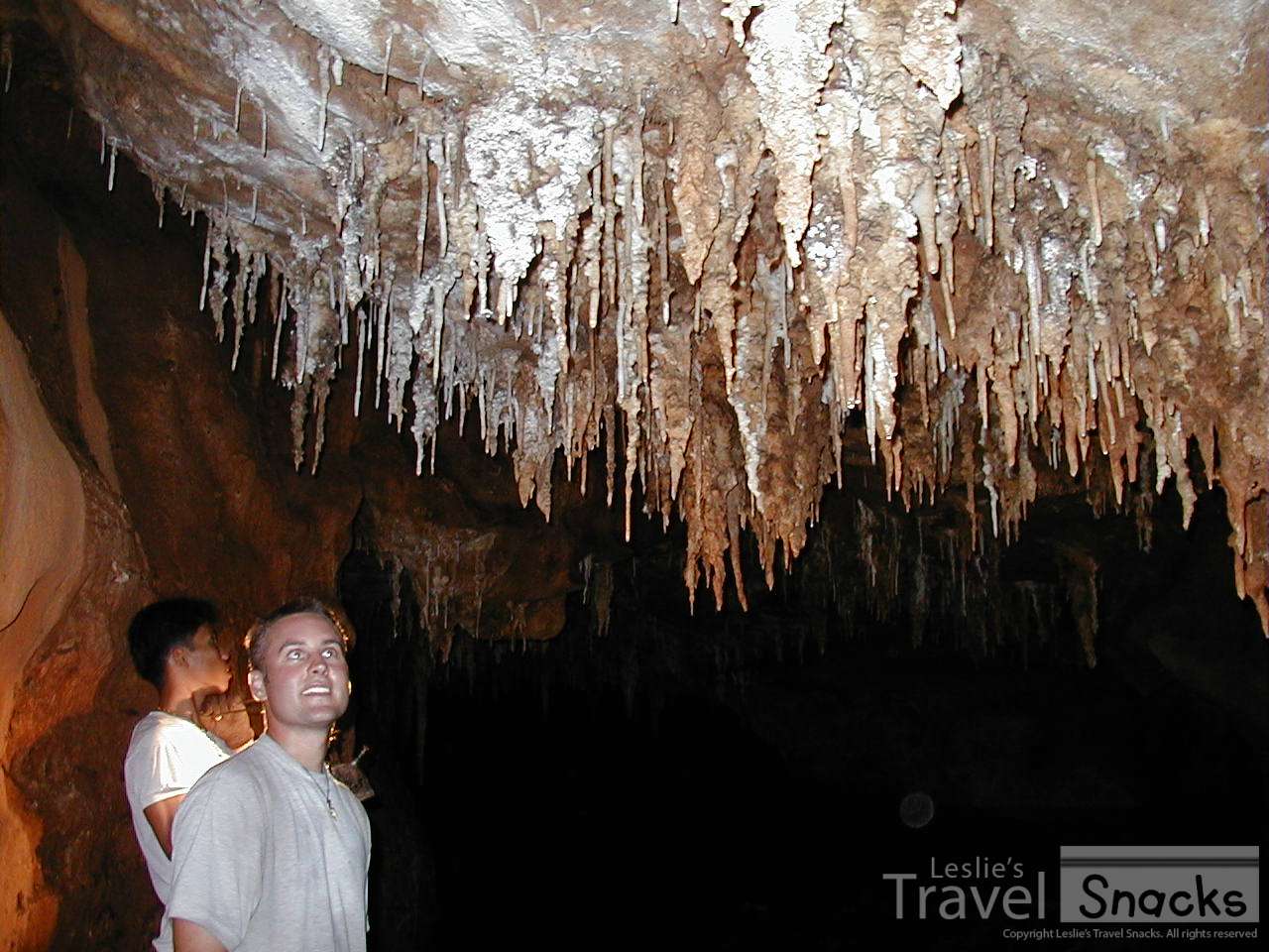 Stalactites in the Wong Badem Cave. The caves and waterfalls on the tour were nice after all the depressing war history.