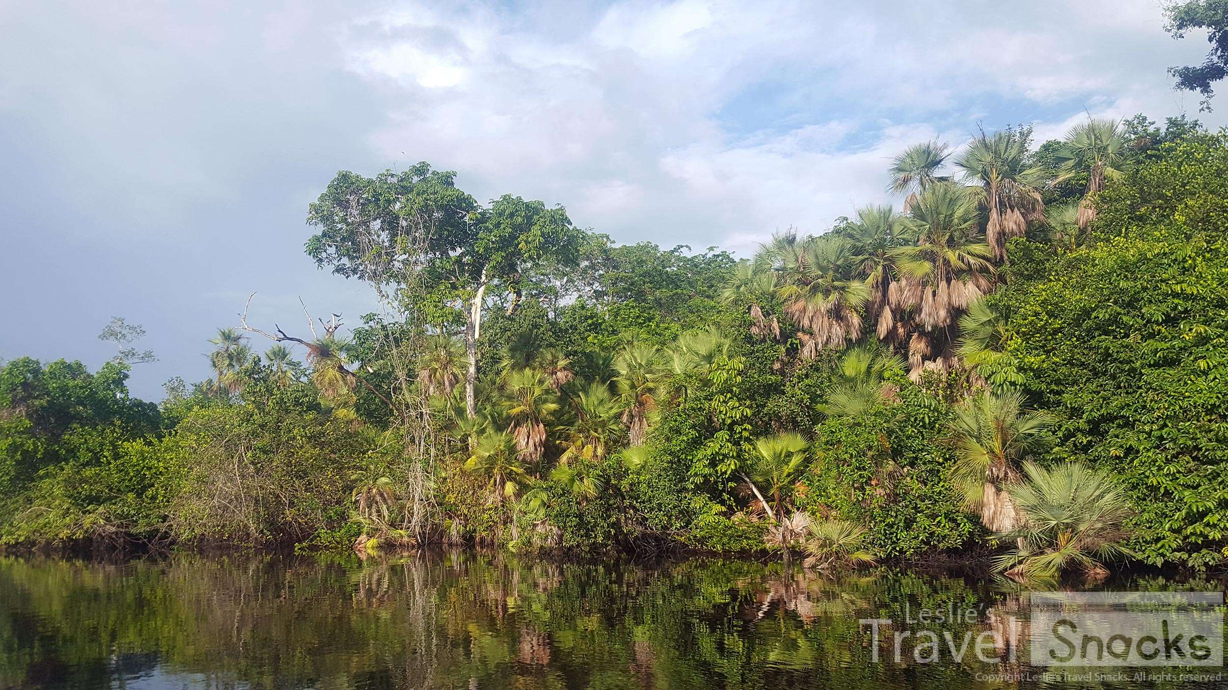 Rivers, jungles, caves. Tons of nature to explore in Belize.